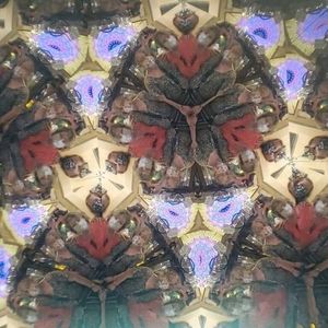 Meet your Posher, Janet